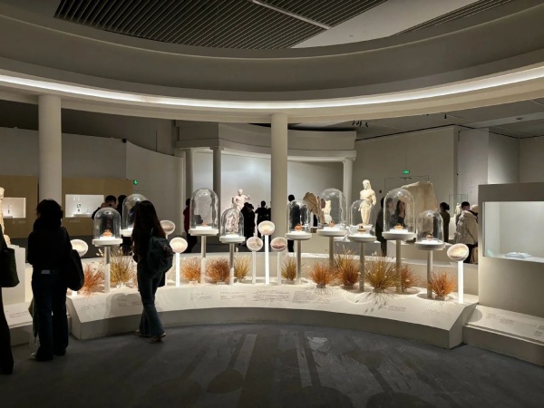 2024年心目中的十大展厅展览