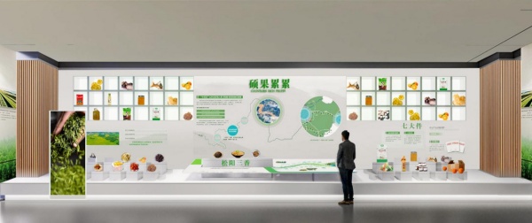 乡村振兴展厅设计案例分享