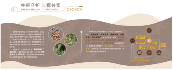 七都果共富工坊展厅设计