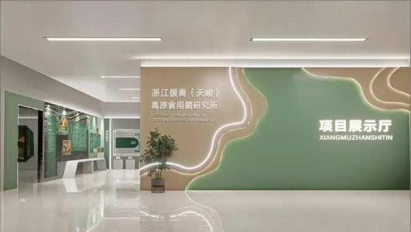 乡村振兴展示馆设计