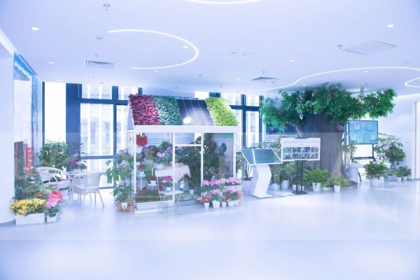北京园林集团智慧展厅设计