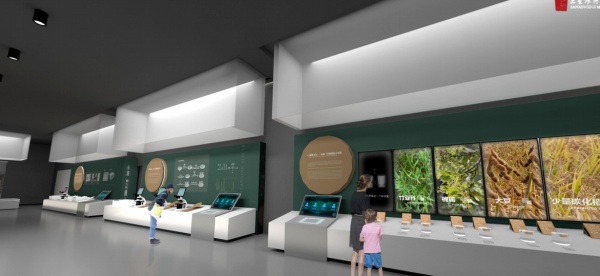 三星堆古蜀文化遗址博物馆基本陈列设计