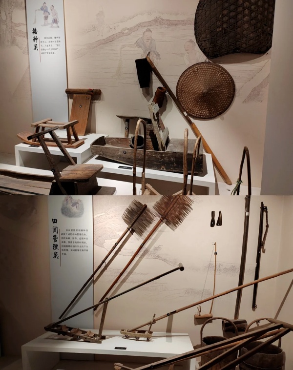 华南农业博物馆——大地文明的诗篇