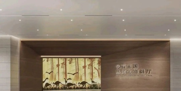 化石王国——热河生物群展厅设计