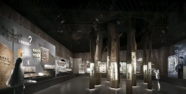 化石王国——热河生物群展厅设计