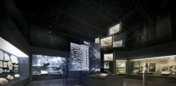 化石王国——热河生物群展厅设计