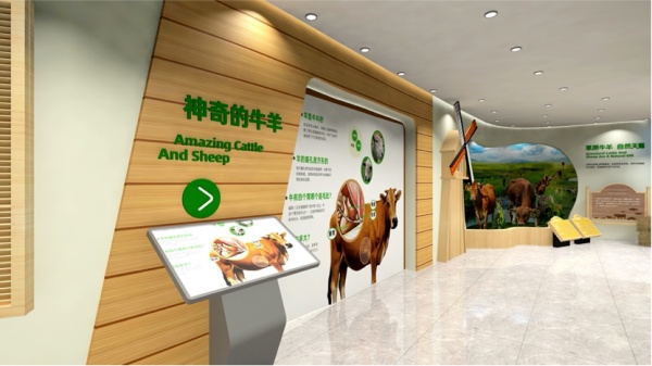 让展厅成为最值钱的品牌资产——先行品牌展厅类项目案例深度解析